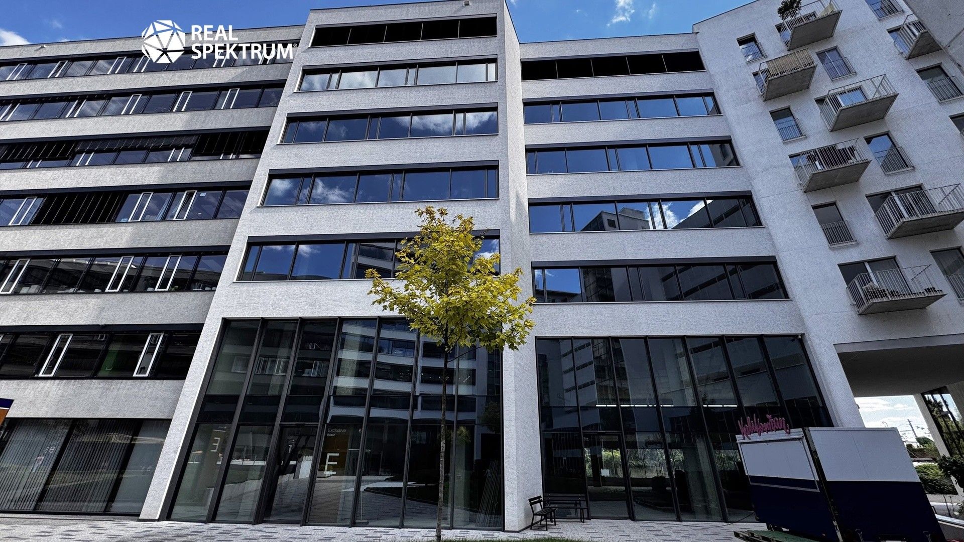 Pronájem kancelář - Nové sady, Brno, 280 m²