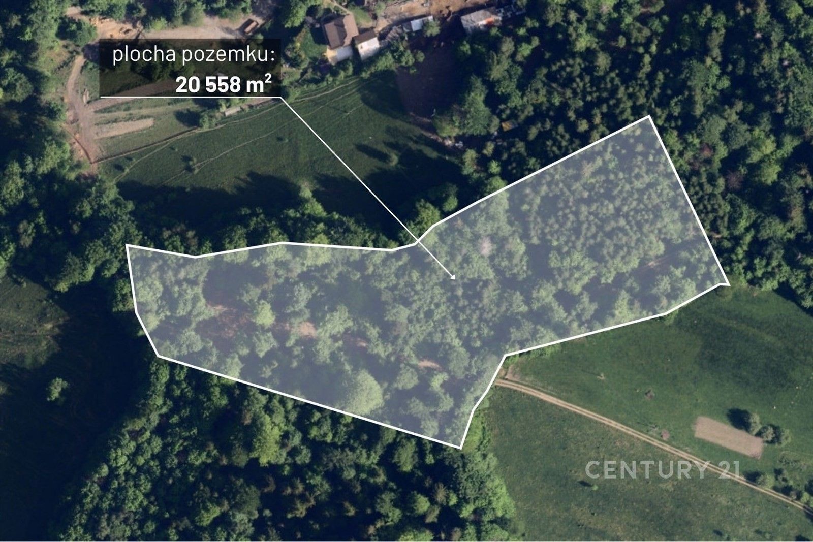 Lesy, Nýdek - 1