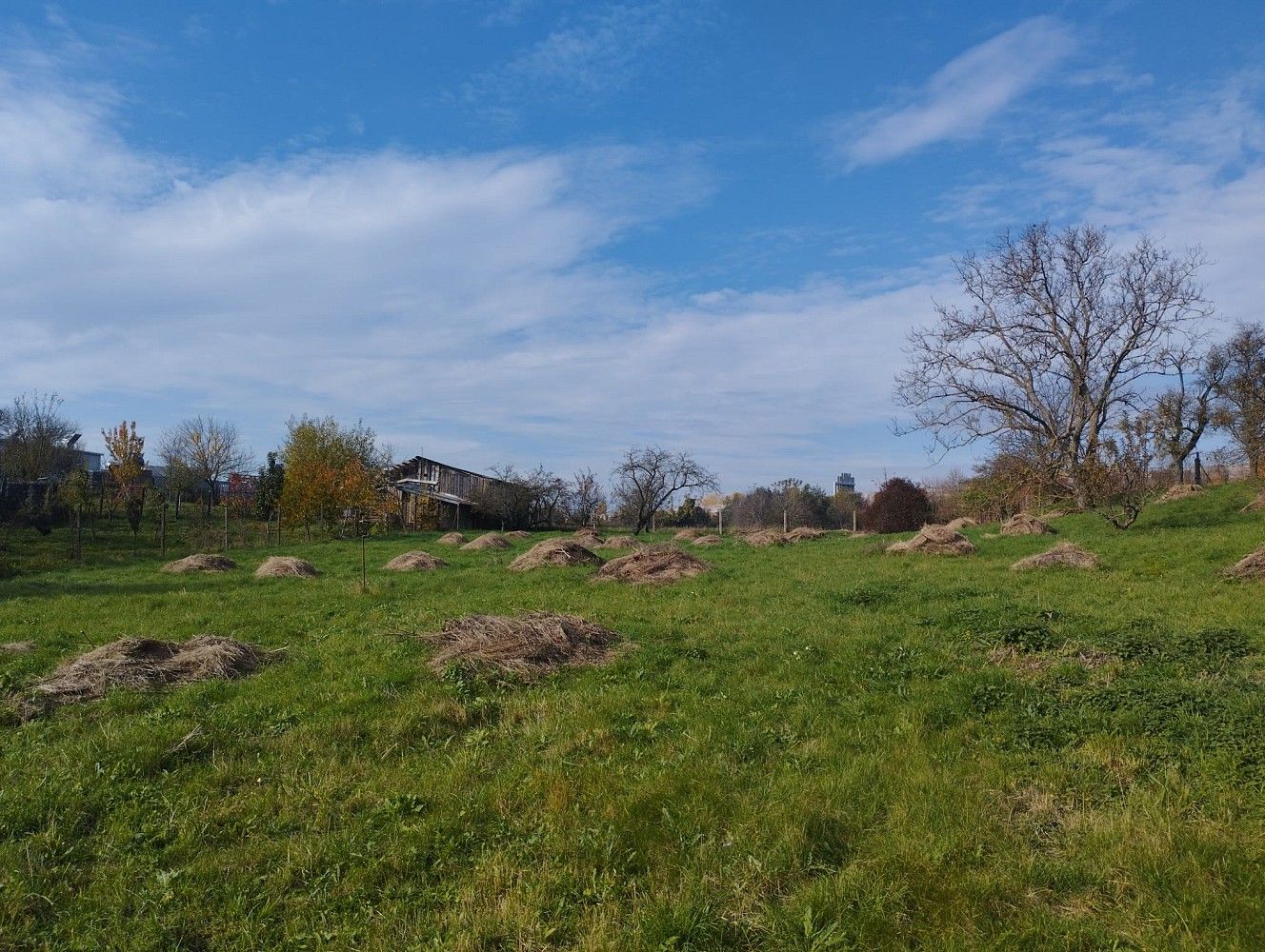 Pozemky pro bydlení, Holubice, okres Vyškov, Jihomoravský kraj - 1