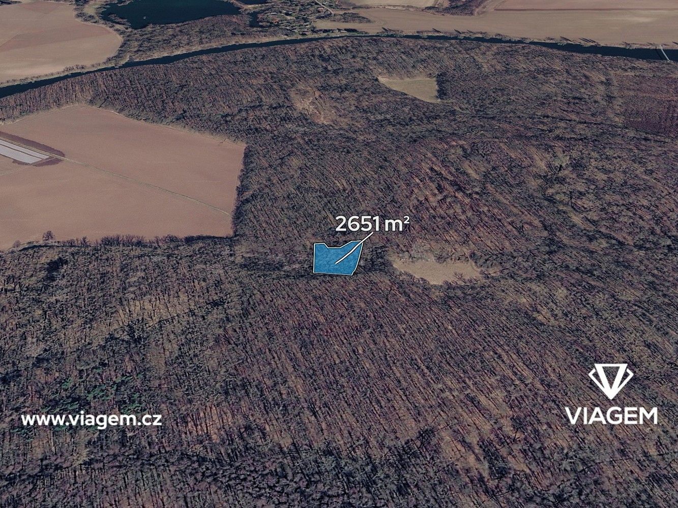 Prodej les - Přerov nad Labem, okres Nymburk, Středočeský kraj - 1