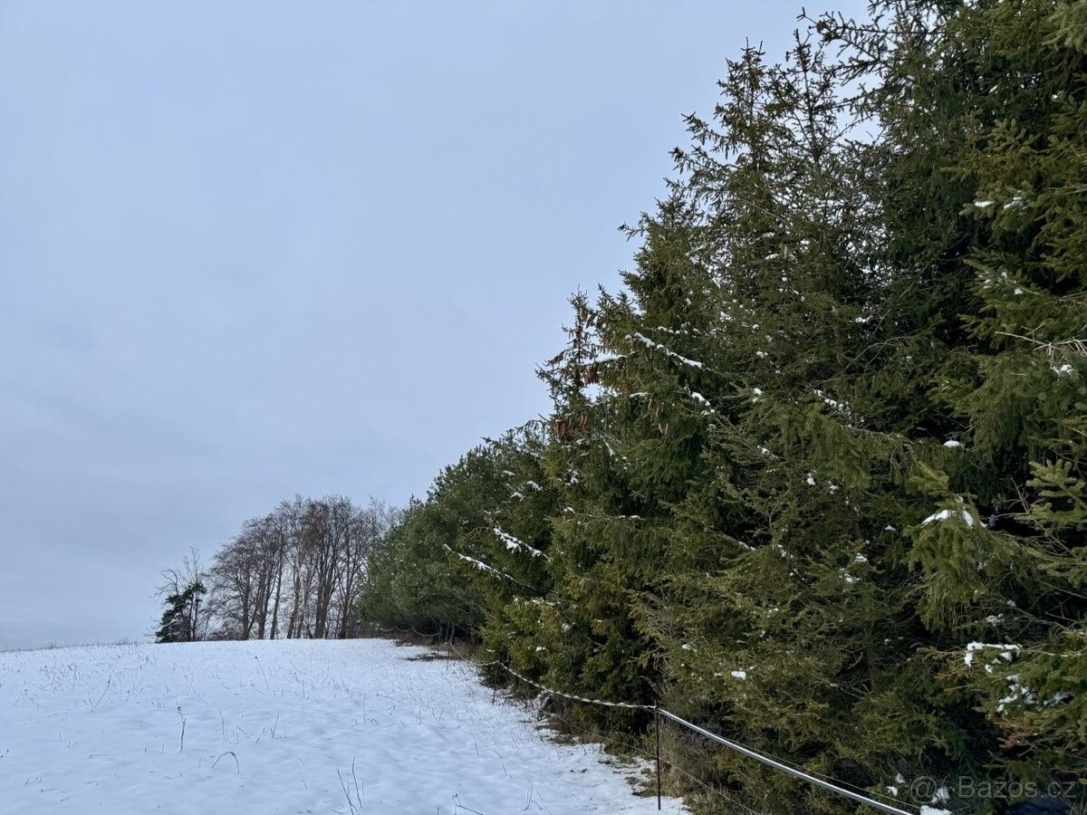 Pozemky pro bydlení, Zábřeh, 789 01