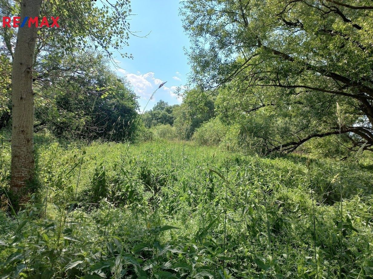 Ostatní, Vodňany, 4 m²