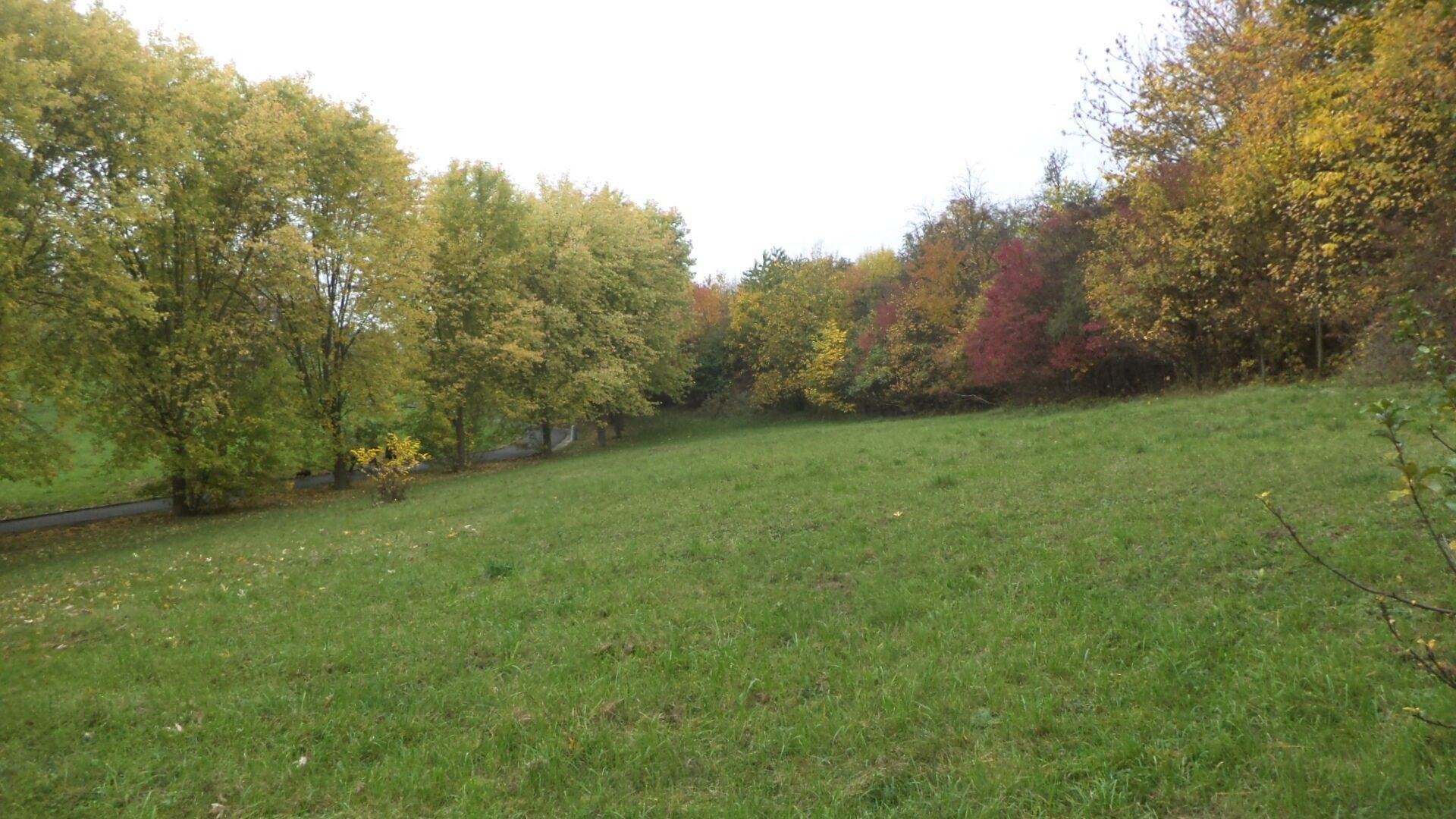 Ostatní, Ústí nad Labem, 570 m² - 1