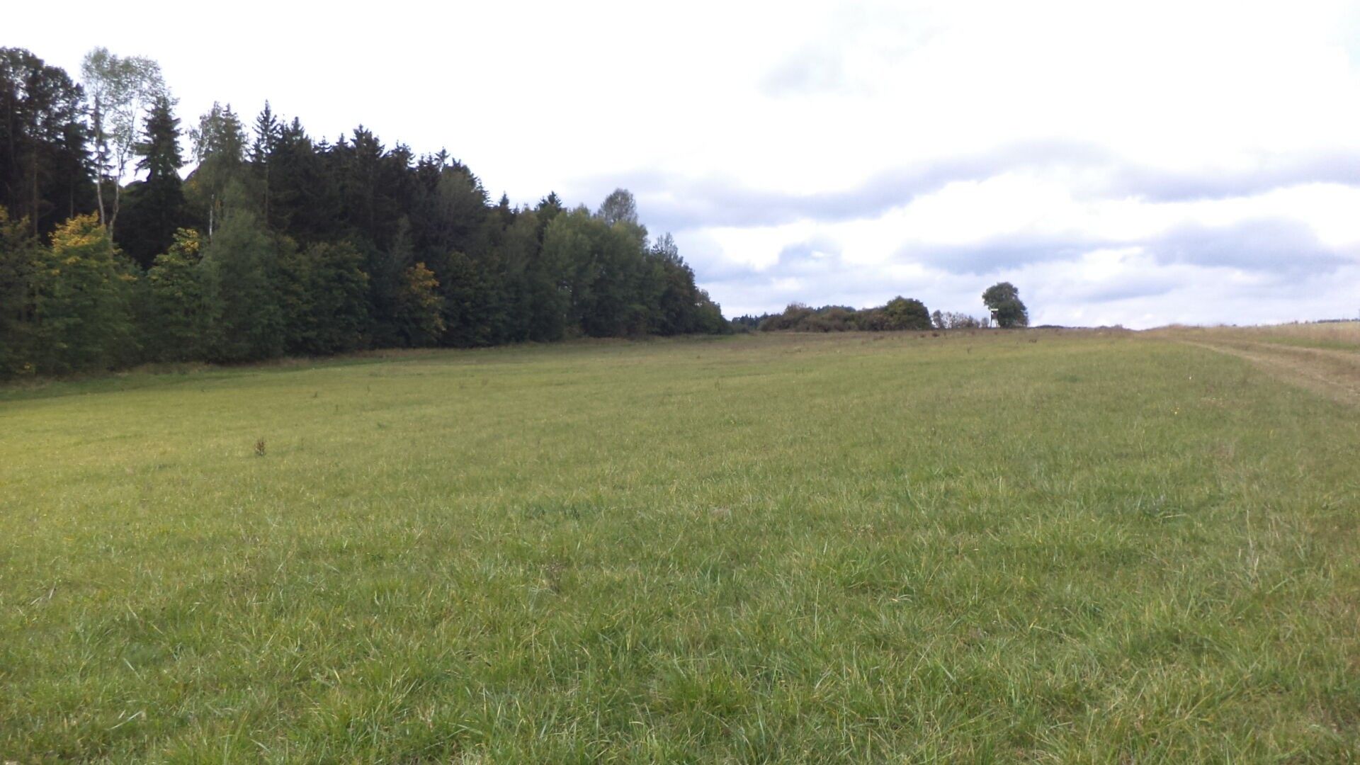 Zemědělský pozemek, 5 912 m²