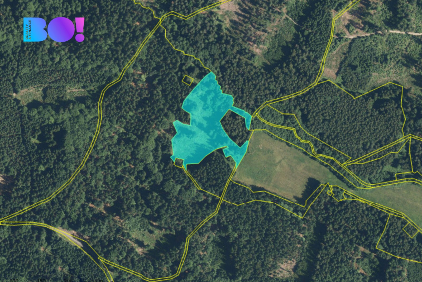 Zemědělský pozemek · 13 044 m² · Hošťka - 2