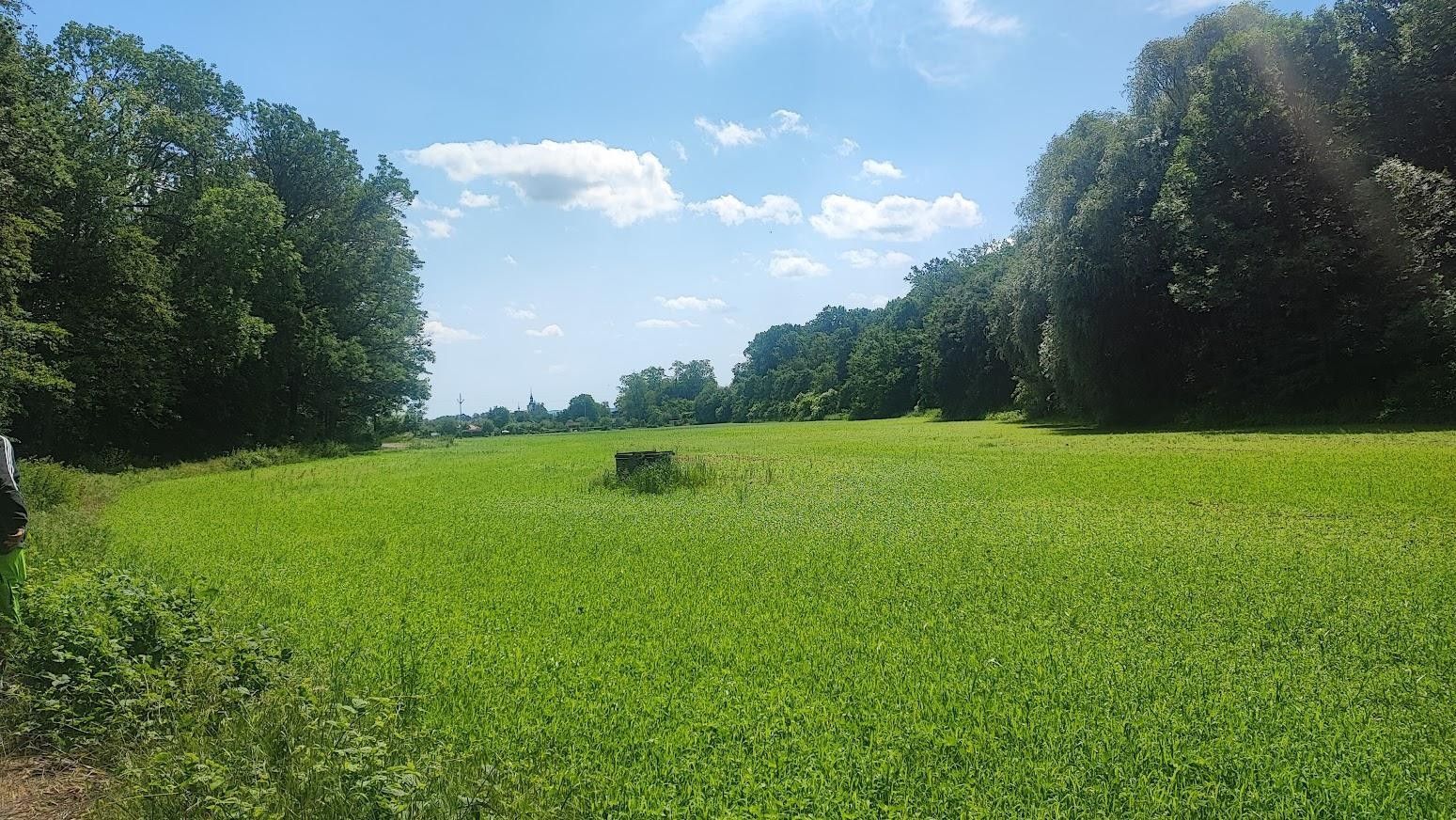 Pozemky pro bydlení, Opatovice, Vyškov, 670 m² - 1