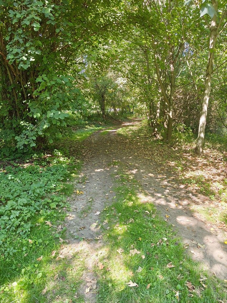 Prodej pozemek pro bydlení - Jedlá, okres Havlíčkův Brod, Kraj Vysočina - 5