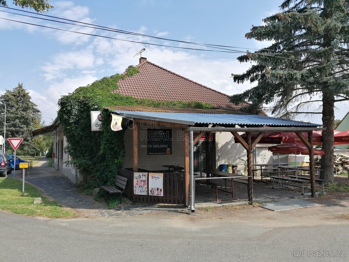 Restaurace, Libice nad Cidlinou, 289 07