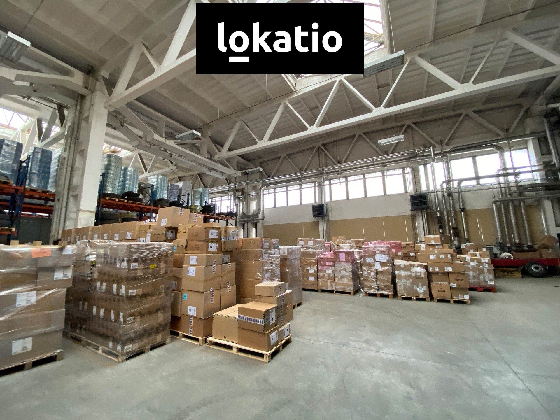 Sklad · 1 256 m² · Trnkova, Brno - 3