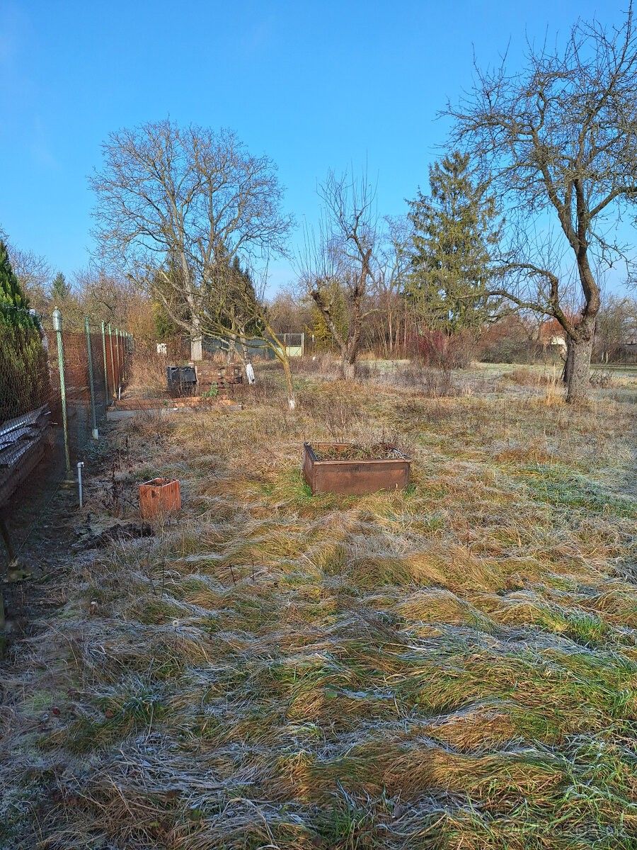 Pronájem zahrada - Ivanovice na Hané, 683 23