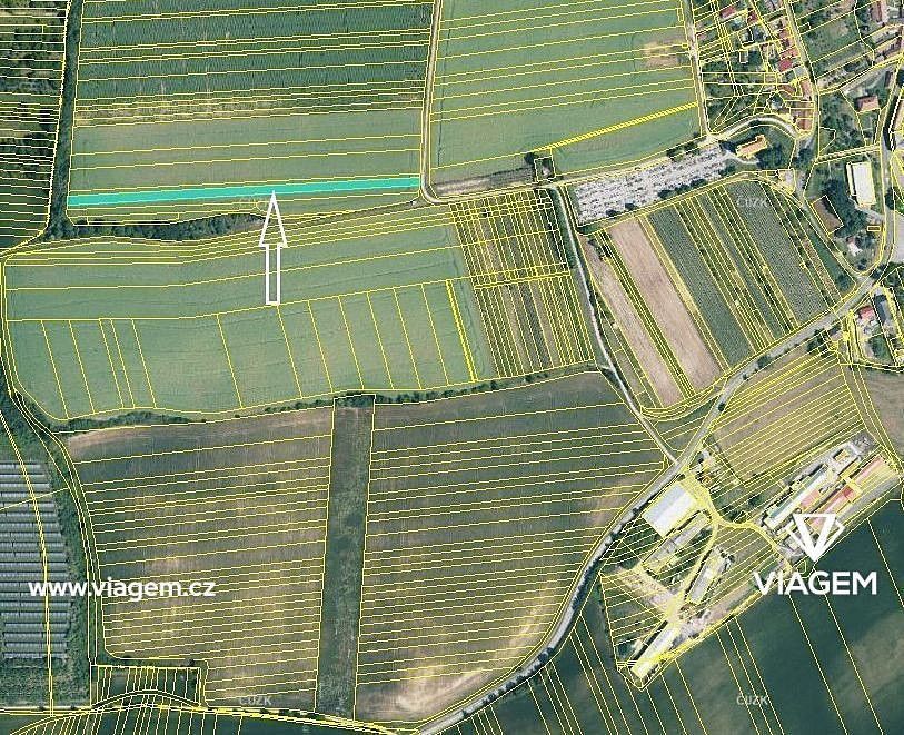 Prodej zemědělský pozemek - Kostelec, okres Hodonín, Jihomoravský kraj - 1