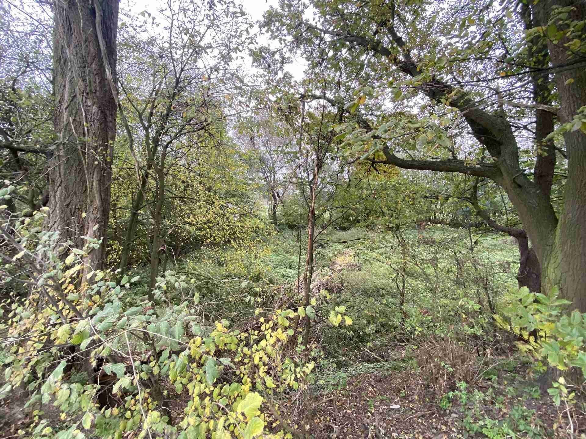 Pozemek · 1 049 m² · Čáslavice - 4