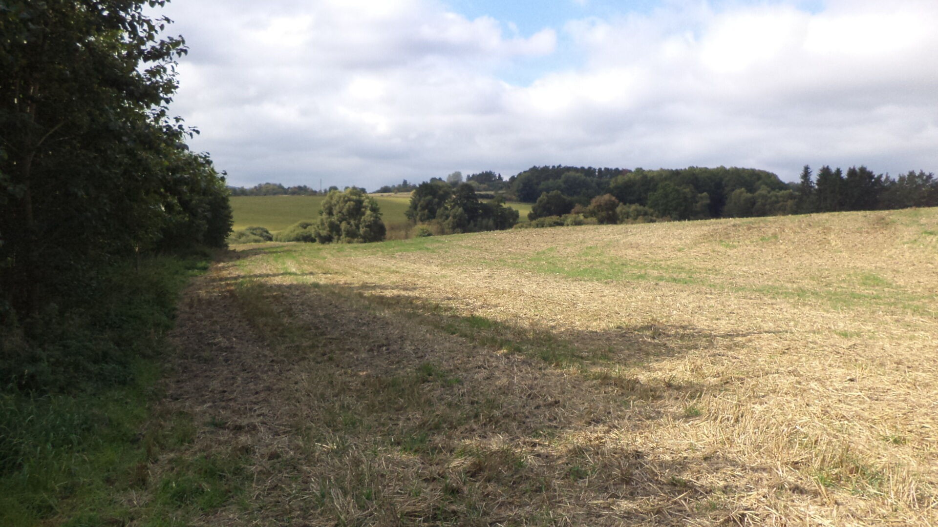 Zemědělský pozemek · 925 m² · Tachov - 4