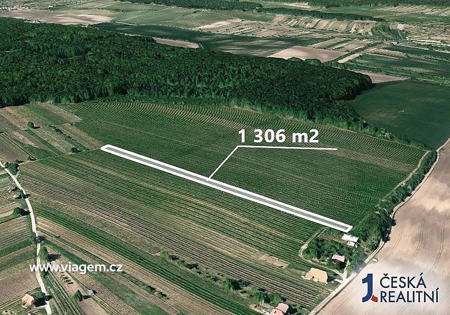 Prodej zemědělský pozemek - Josefov, okres Hodonín, Jihomoravský kraj - 2