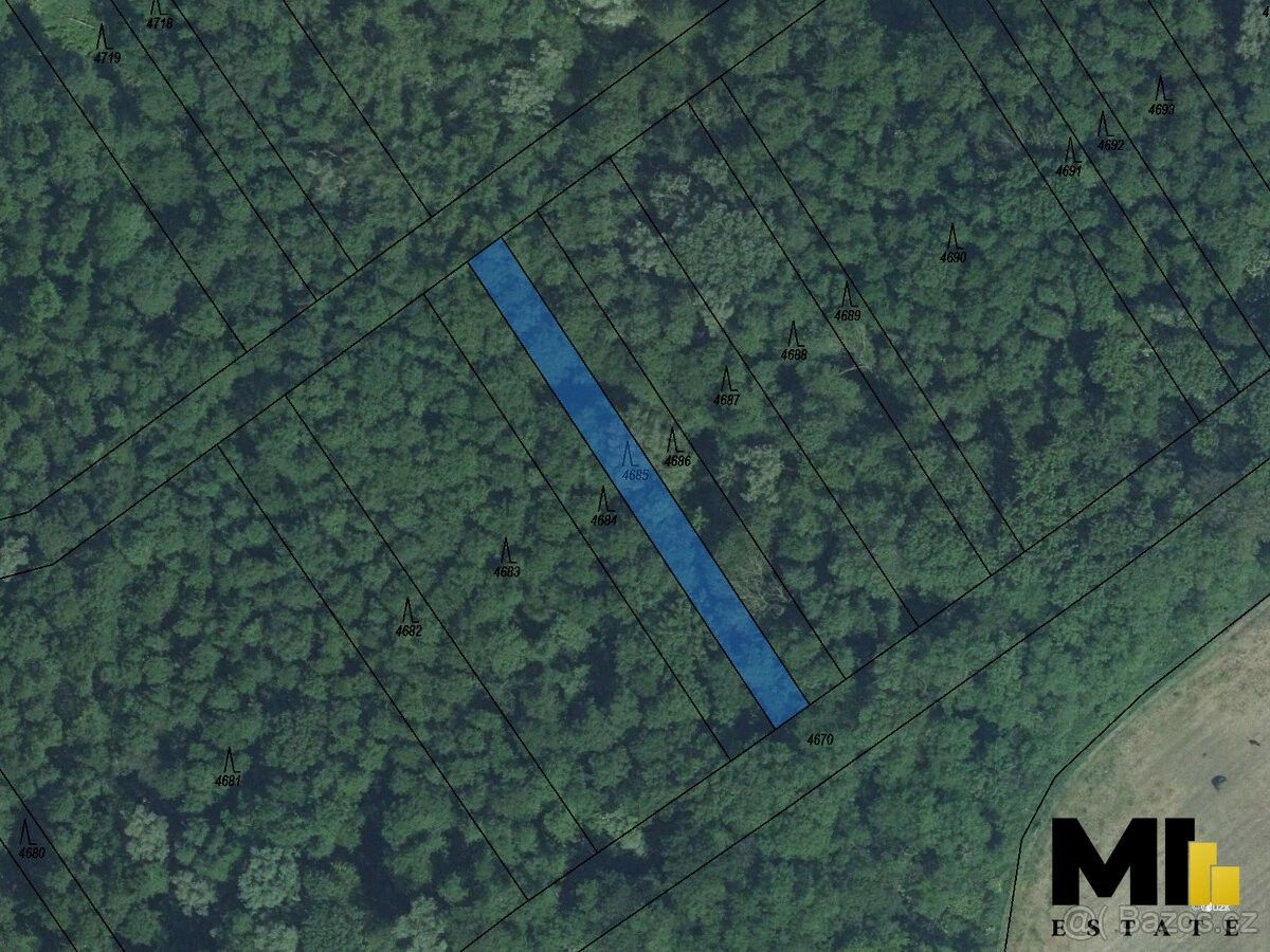 Lesy, Březí u Mikulova, 691 81, 155 m²