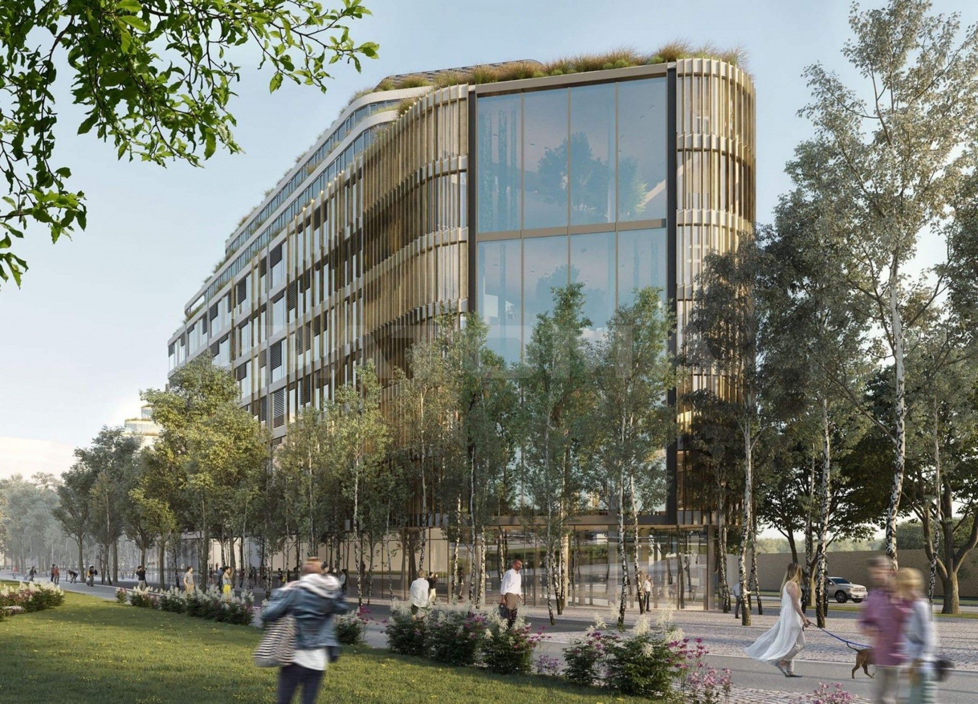 Kanceláře, Vinohradská, Praha, 1 244 m² - 2