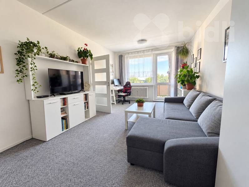Byt 1+1 · 45 m² · U Střelnice 1622, Šternberk - 2