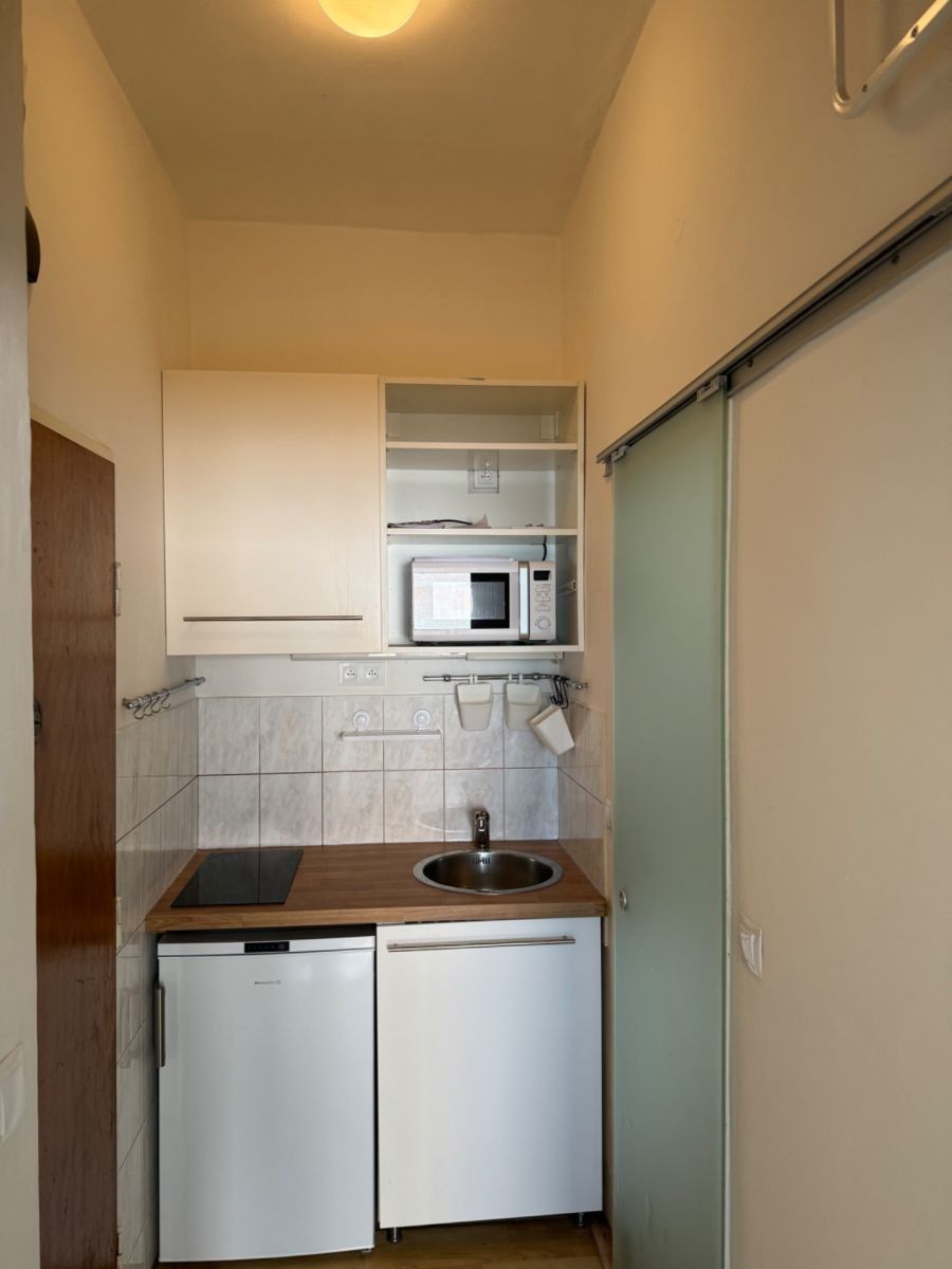 1+kk, Cihlářská, Brno - Veveří, Jihomoravský kraj, 25 m² - 2