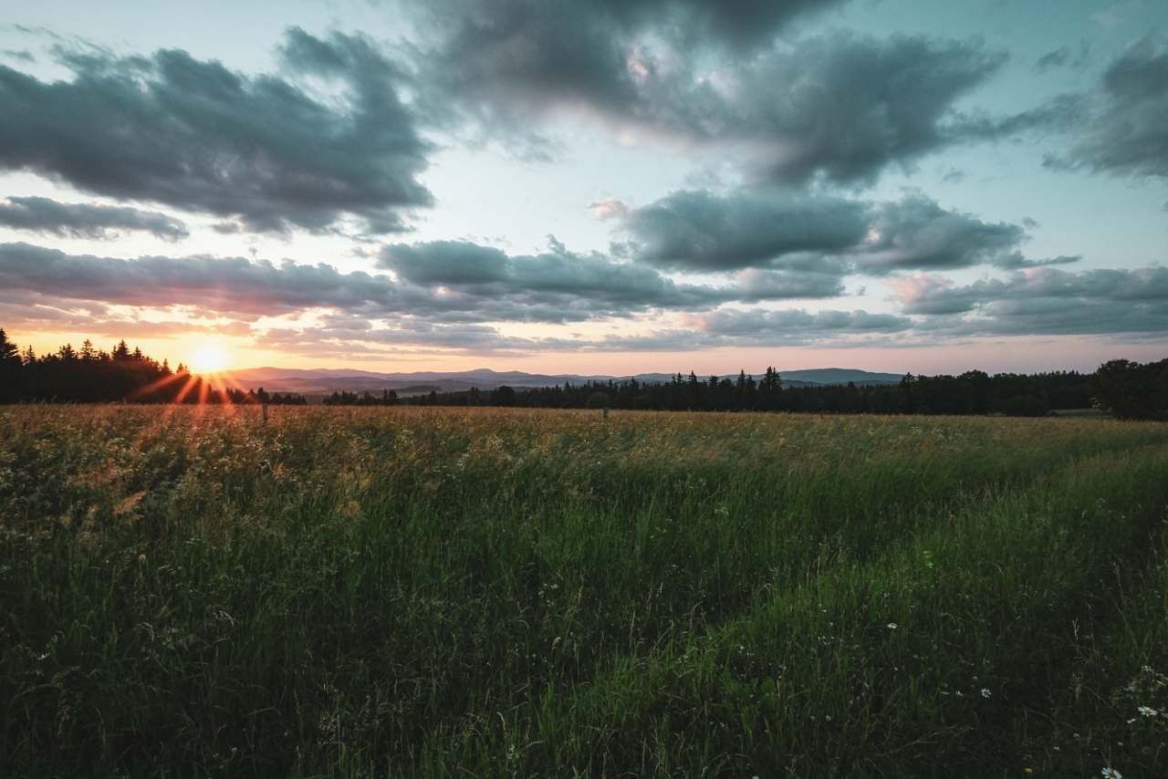 Chaty, Malšín - Ostrov na Šumavě, Jihočeský kraj - 2