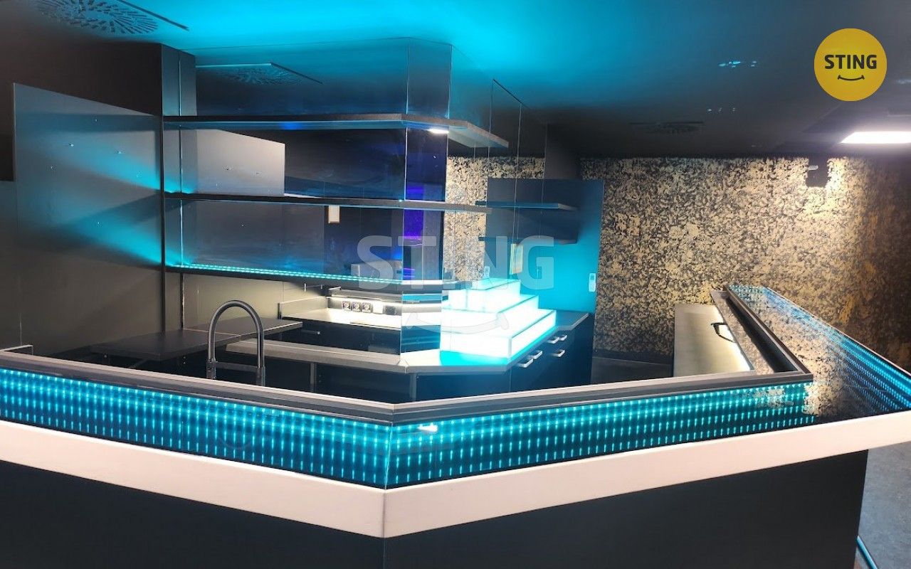 Ostatní, Wilsonova, Přerov, 210 m²