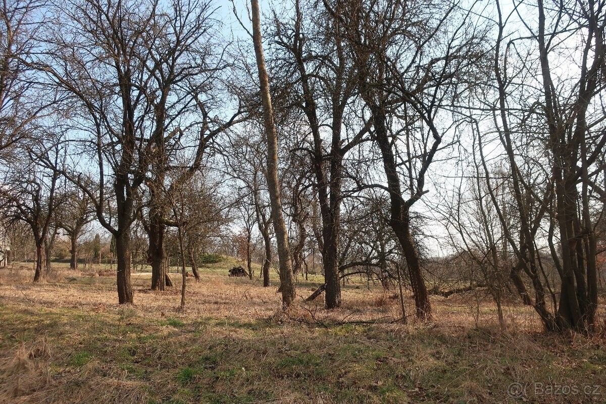 Prodej pozemek pro bydlení - Nezdenice, 687 32