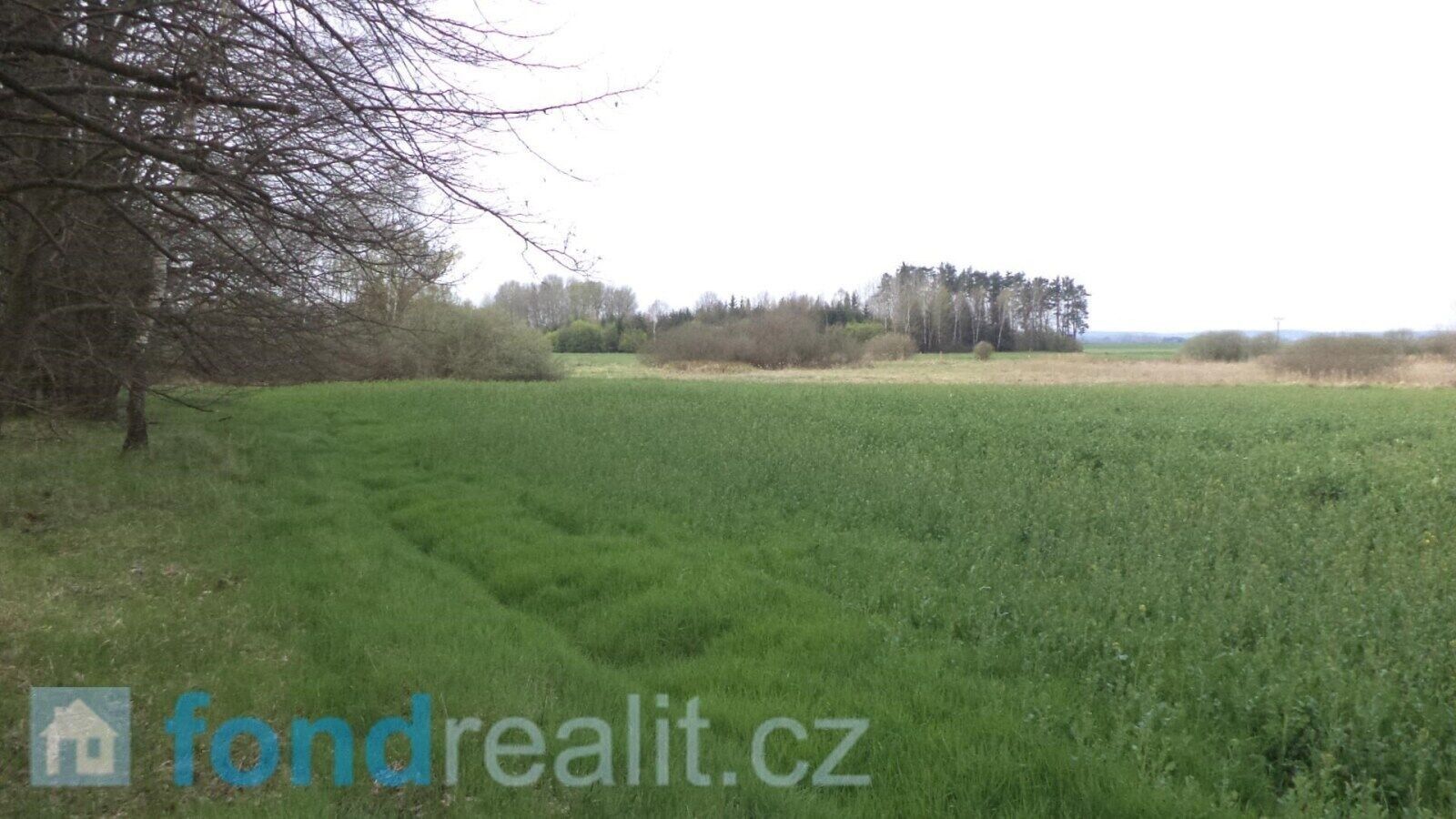 Prodej zemědělský pozemek - Žíšov, 3 m²