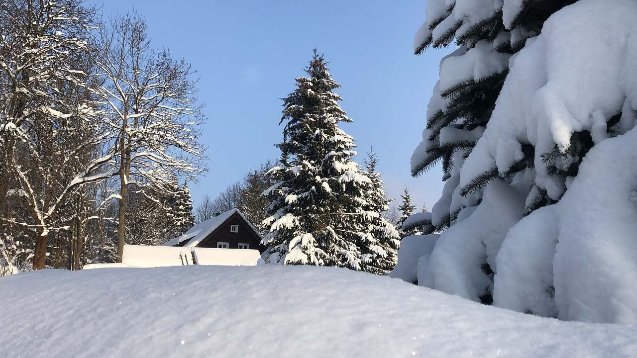 Chata · Červená Voda, Pardubický kraj - 2