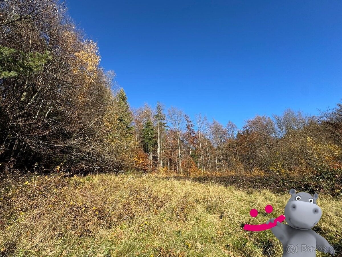 Prodej pozemek pro bydlení - Trnava u Zlína, 763 18