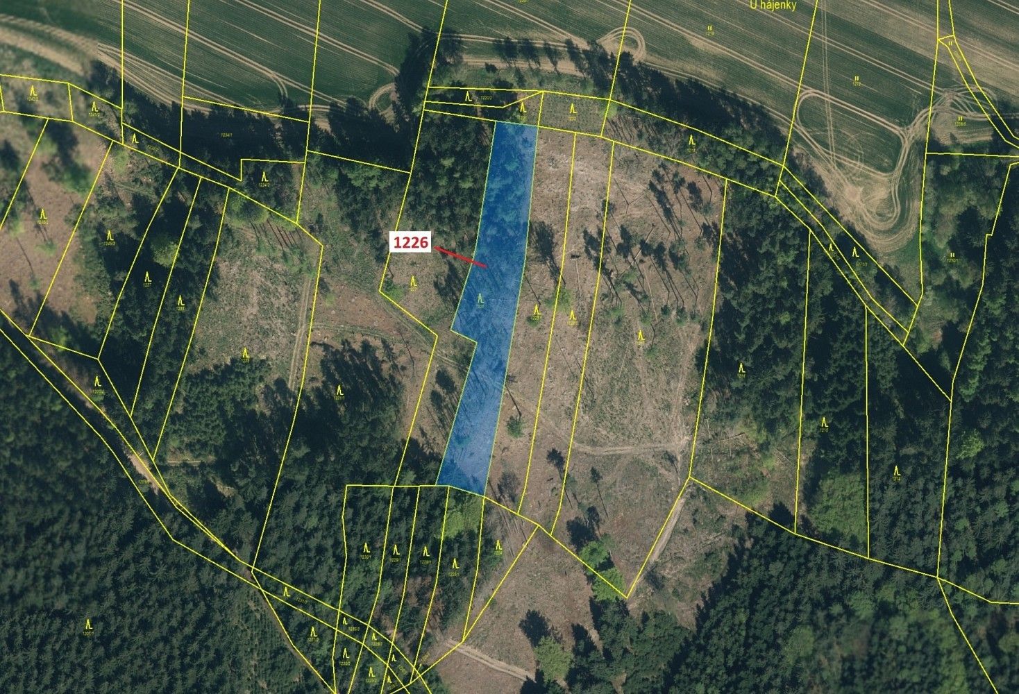 Prodej les - Vilice, okres Tábor, Jihočeský kraj - 2