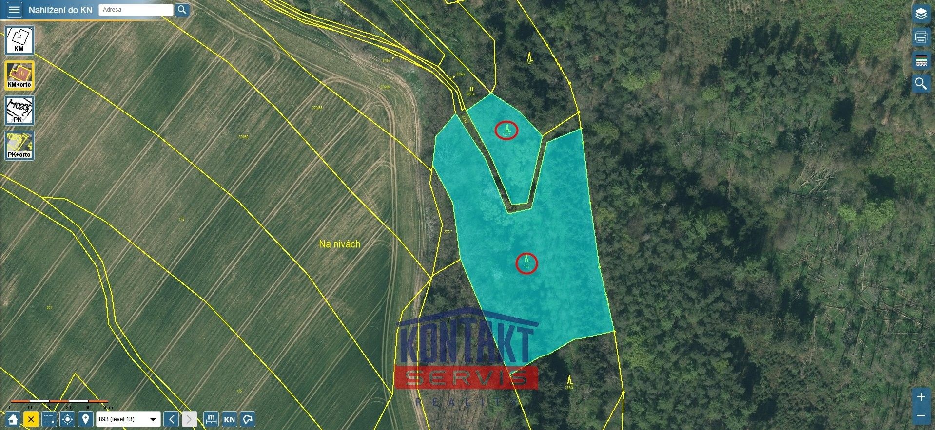 Prodej les - Bečice