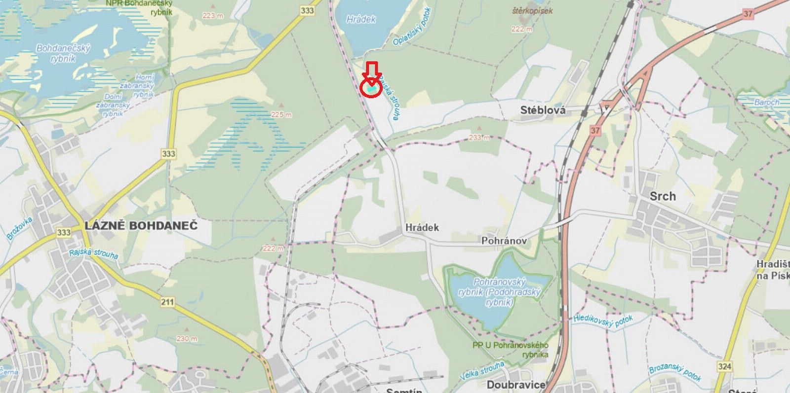 Les · Stéblová - Čivice, okres Pardubice, Pardubický kraj - 3