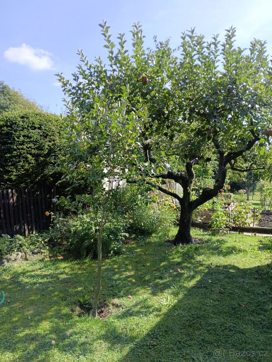 Zahrada · Nový Bor, 473 01 - 4