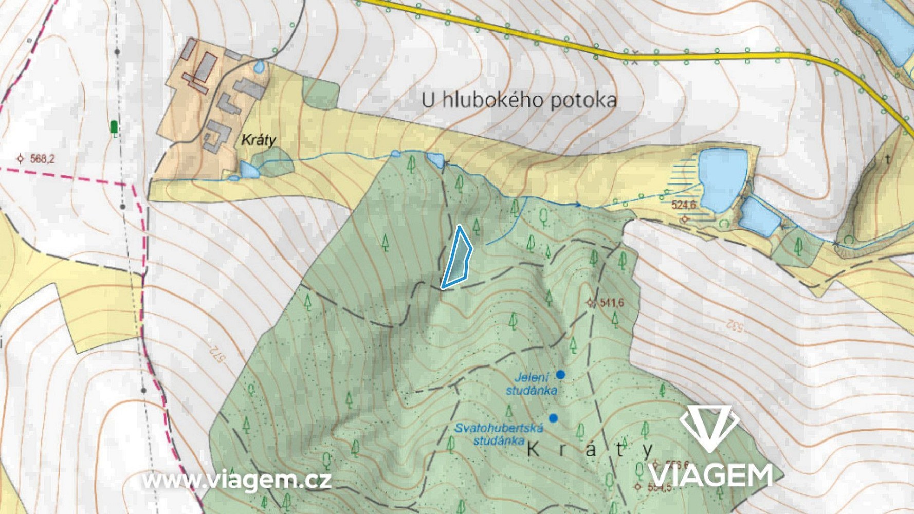 Les · Horní Krupá, okres Havlíčkův Brod - 3