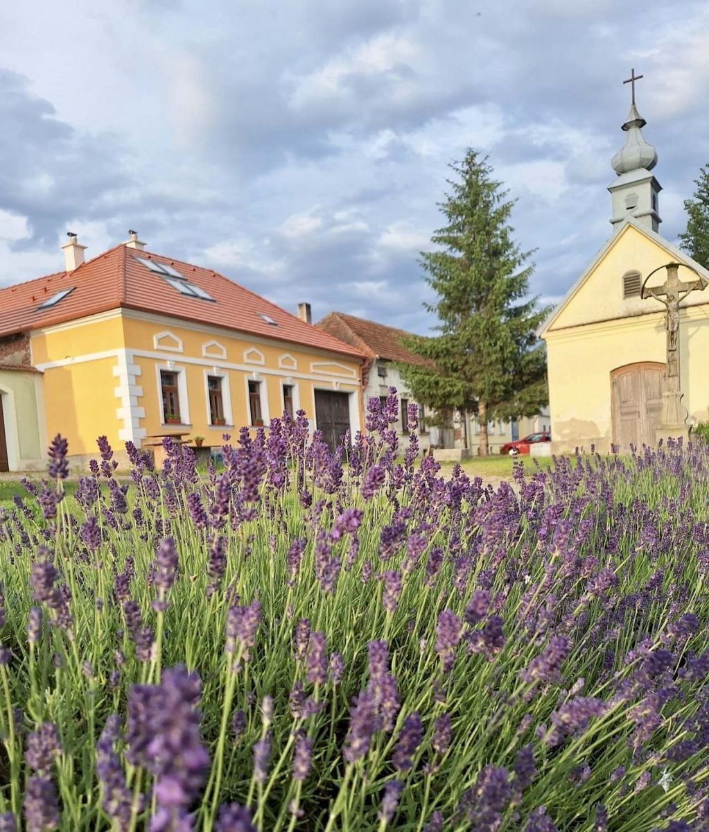 Chaty, Dešná - Dančovice, Jihočeský kraj - 2