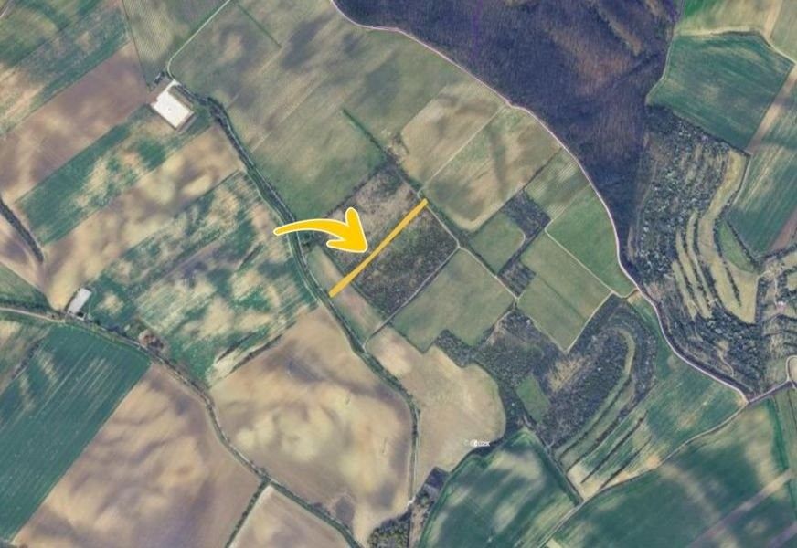 Prodej pozemek - Klobouky u Brna, 2 236 m²