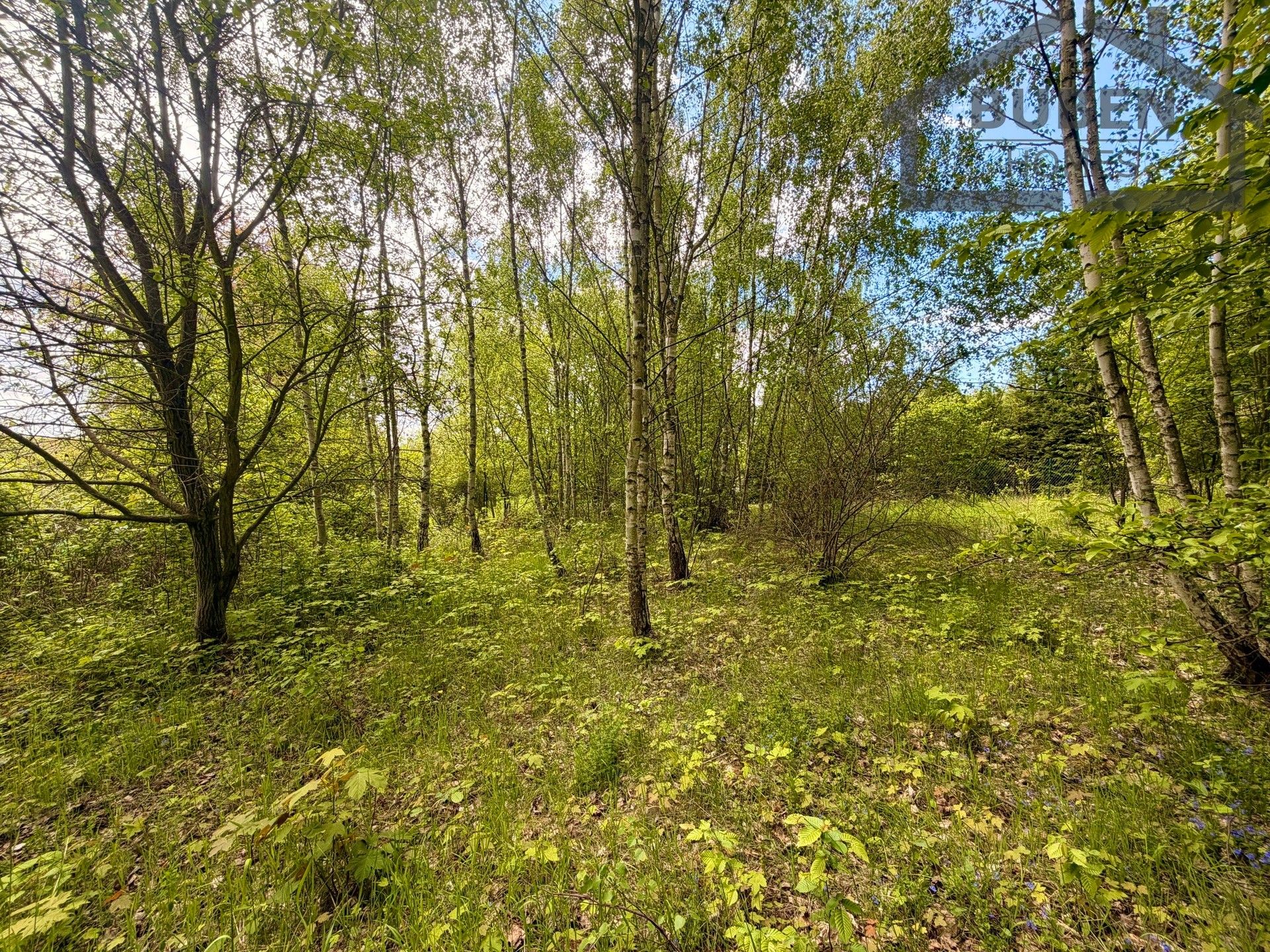 Prodej pozemek pro bydlení - Lestkov Domaslav - 5