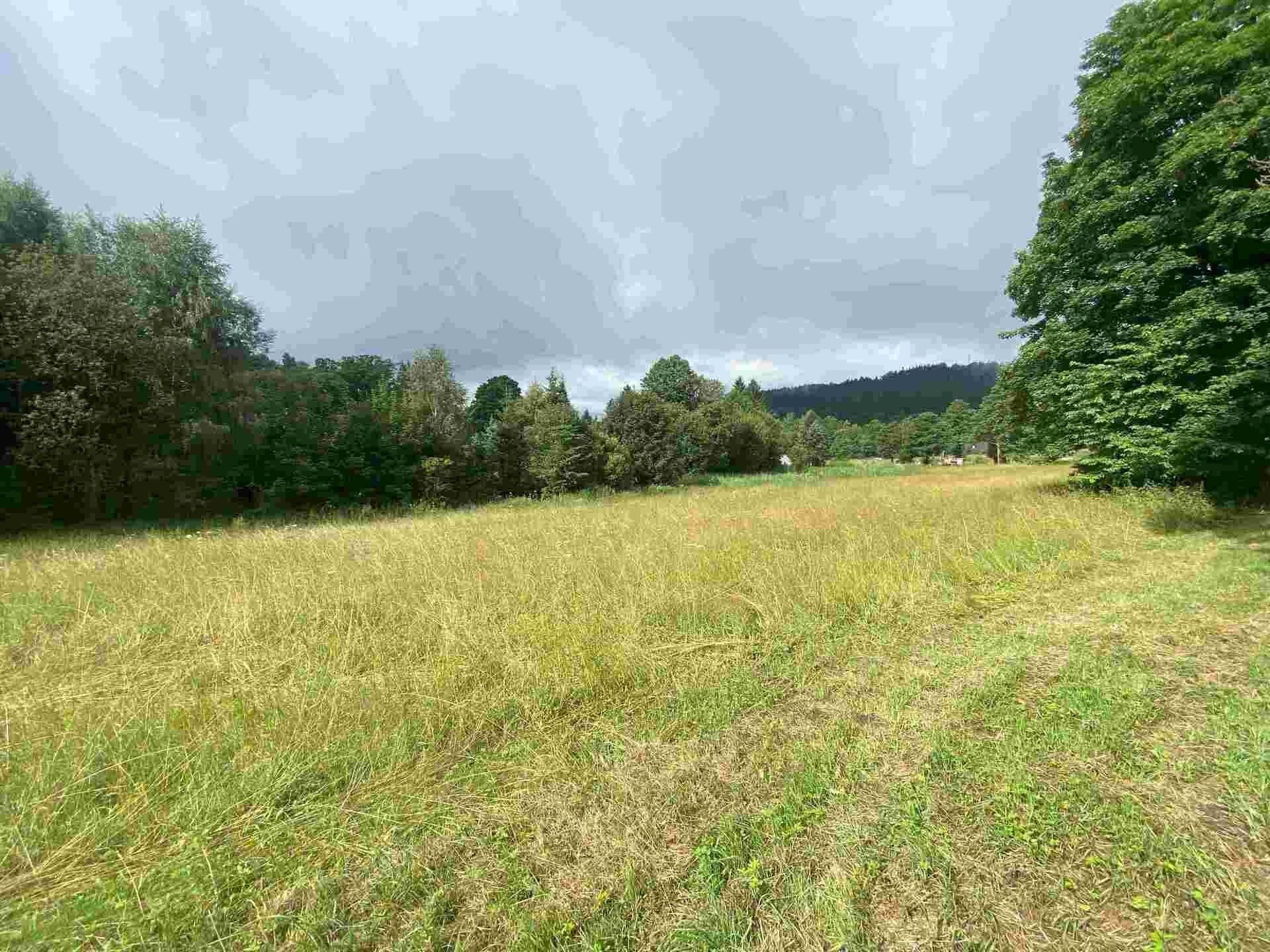 Pozemek pro bydlení · 1 500 m² · Deštné v Orlických horách - 3