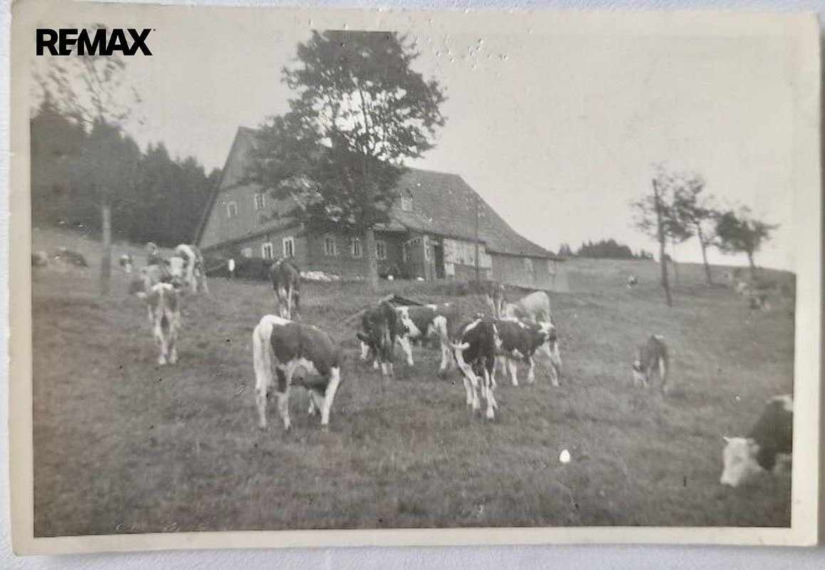 Louka · Malá Úpa, okres Trutnov, Královéhradecký kraj - 4