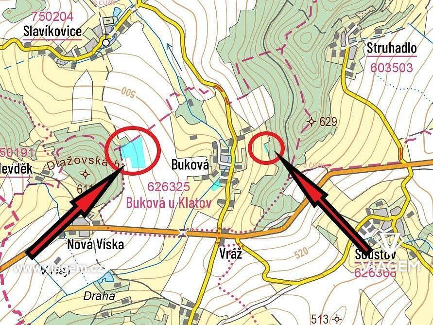 Prodej zemědělský pozemek - Dlažov, okres Klatovy - 5