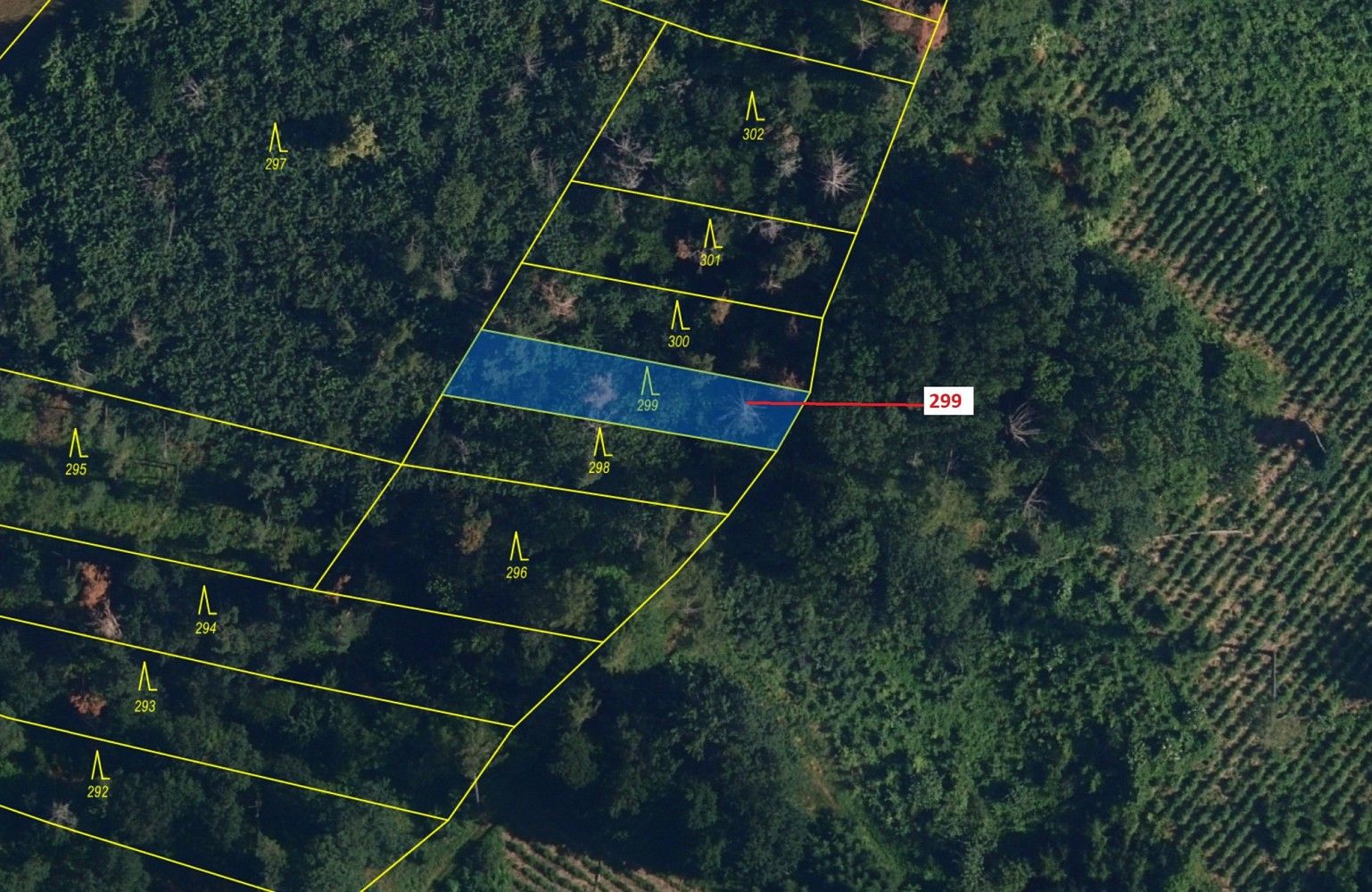 Prodej les - Lipník, okres Třebíč, Kraj Vysočina - 2