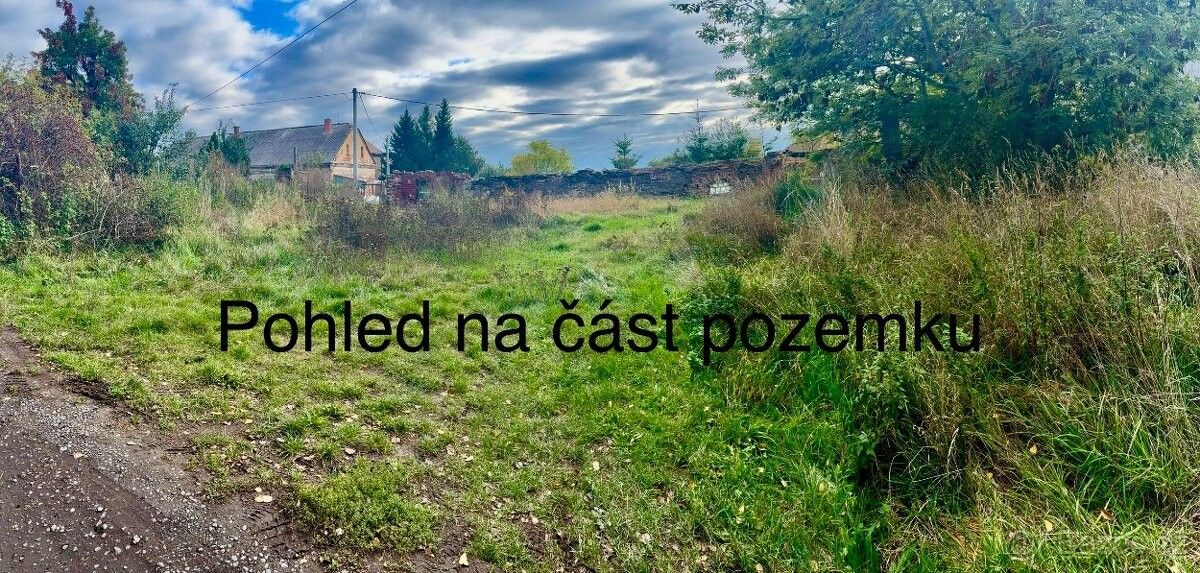 Prodej pozemek pro bydlení - Velké Heraltice, 747 75