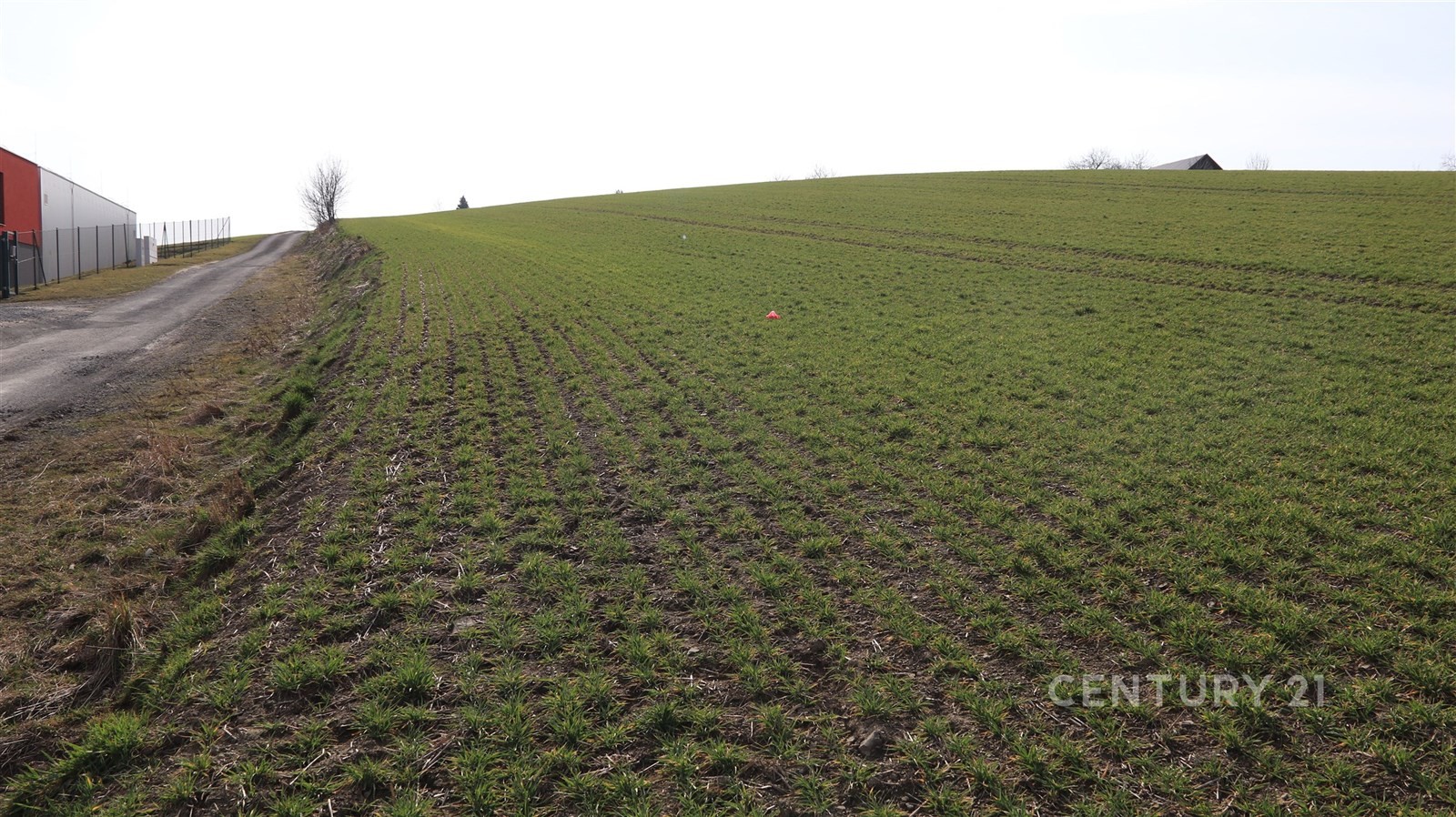 Komerční pozemek · Hrabyně - 4