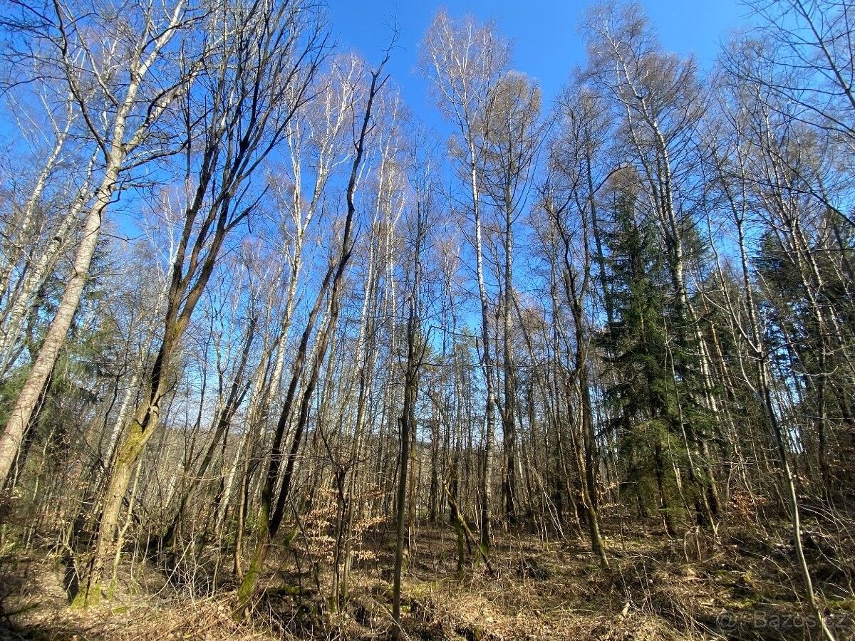 Lesy, Mostek, 544 75, 6 007 m²