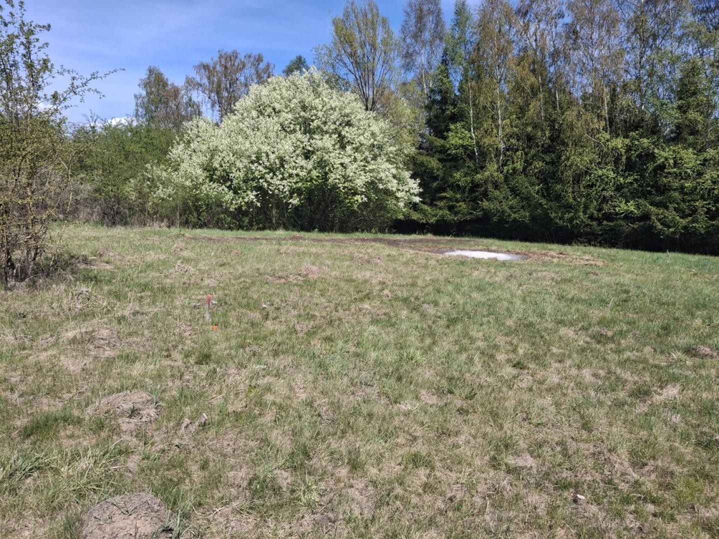 Prodej pozemek pro bydlení - Dalovice - 2