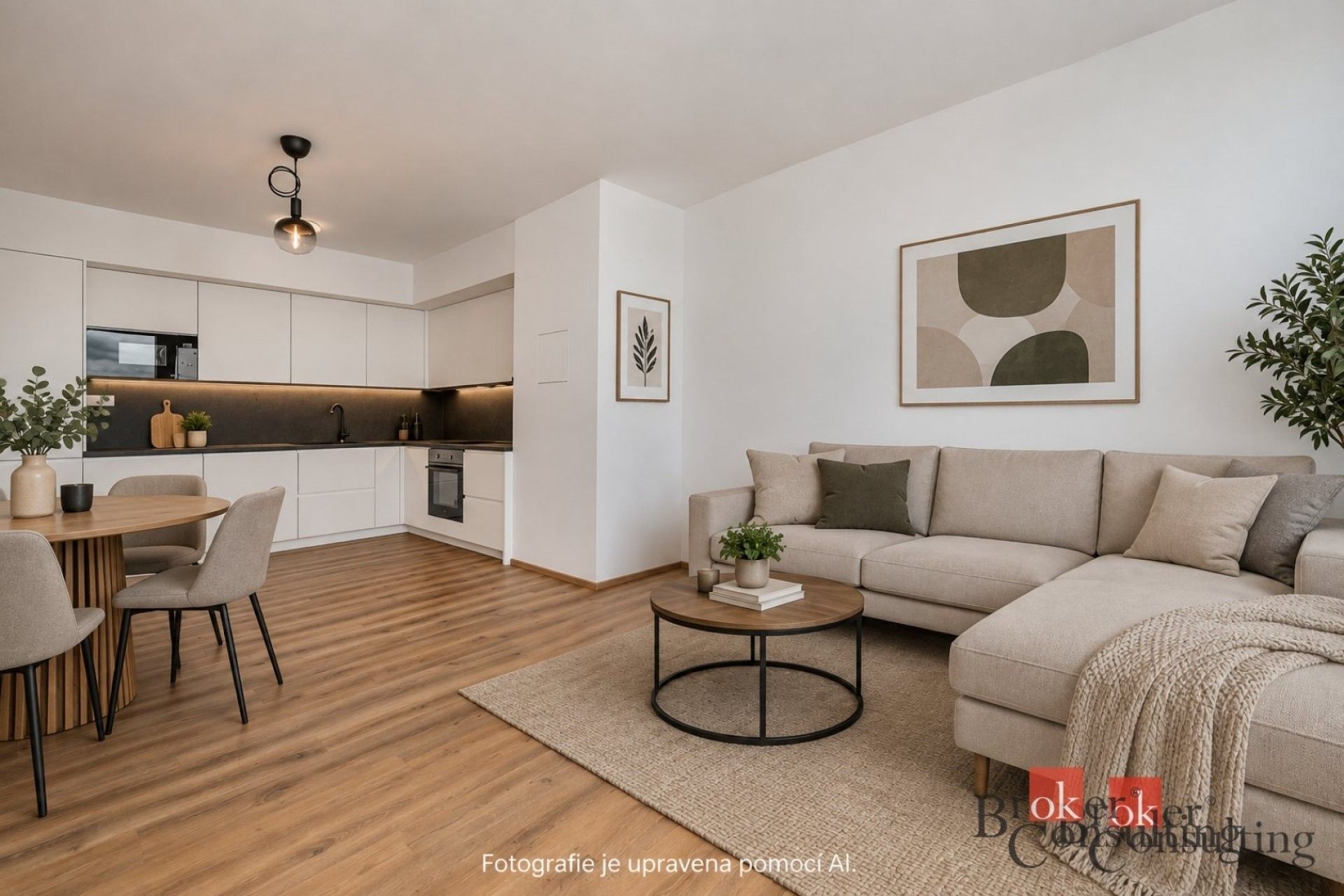 2+kk, Železná,Plzeň 3,Plzeň, 66 m² - 1