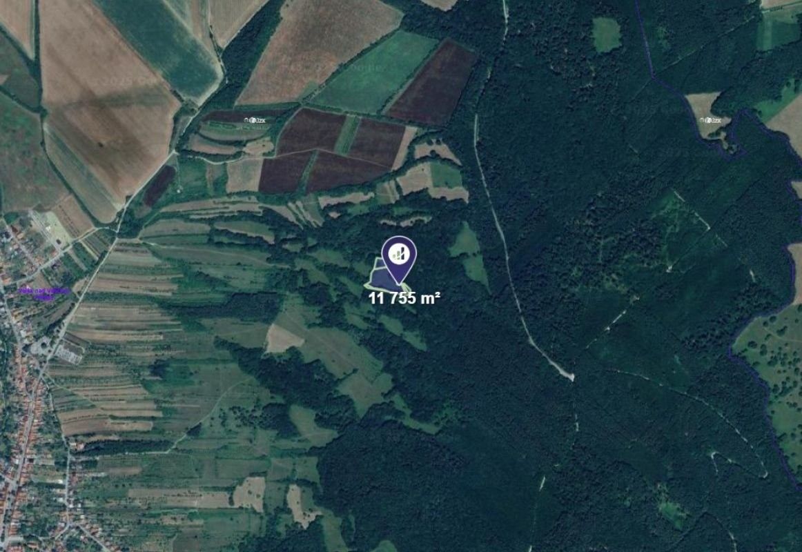 Prodej louka - Velká nad Veličkou, 2 939 m²