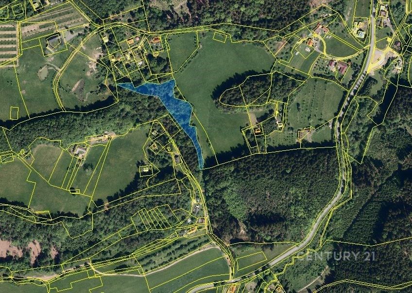 Prodej les - Držková