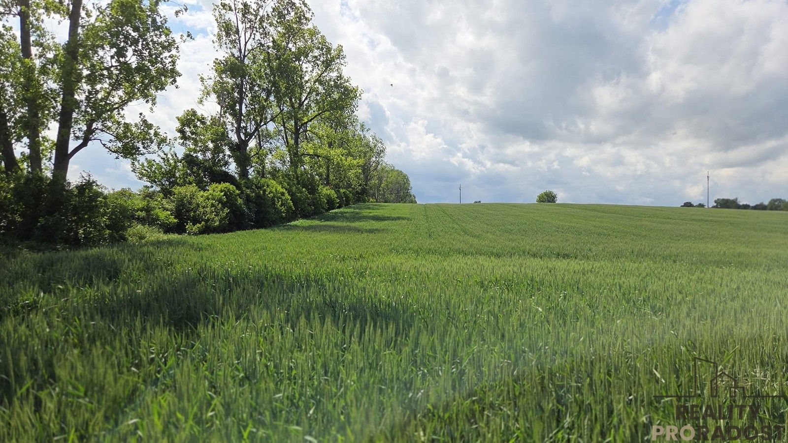Prodej zemědělský pozemek - Kyjov, 2 649 m² - 5