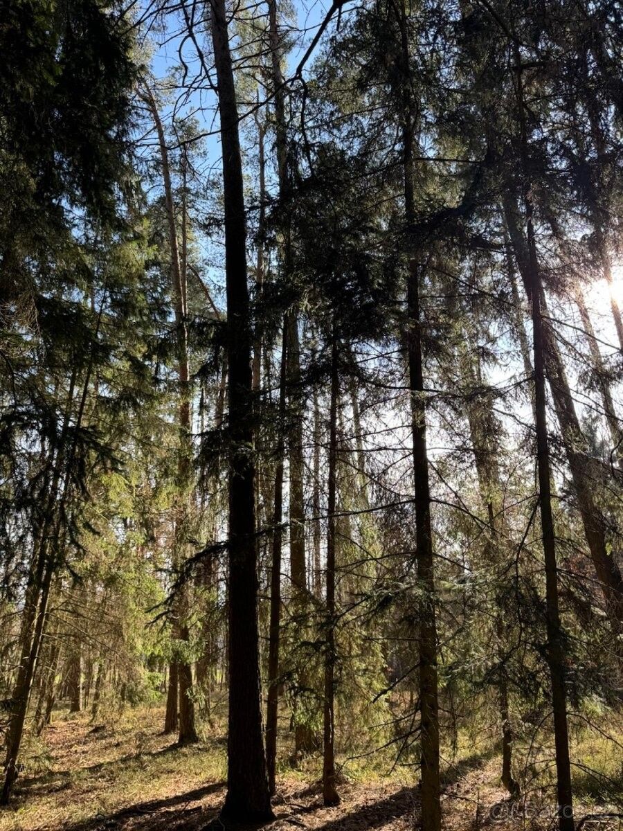 Prodej pozemek pro bydlení - Bernartice u Milevska, 398 43