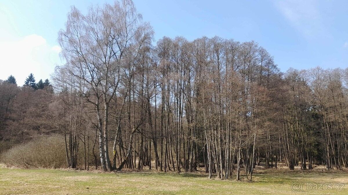 Pozemky pro bydlení, Plánice, 340 34 - 2